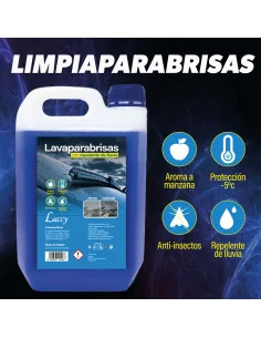 Lavaparabrisas 5L 2
