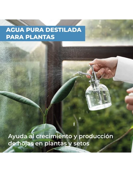 Distilled Water 5 Litres