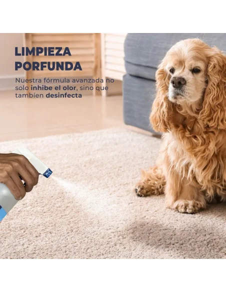 Eliminador de olores de mascotas Eliminador de olores de mascotas