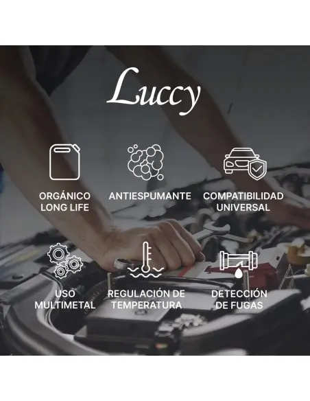 Antifreeze 30% 5 Litres